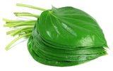 Paan  / পান / पान
