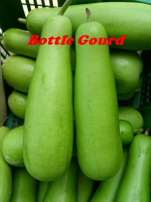 Bottle Gourd / লাউ