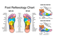 Wooden Foot Roller Wood Care Massage Reflexology Relax Relief Massage Spa Gift Anti Cellulite Foot Massager