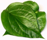 Paan  / পান / पान