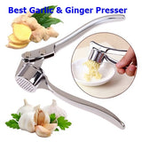 Best Garlic & Ginger Presser Stainless Steel
