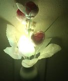 Night light Color Changing Flower Plug In LED Mushroom Nightlight Wall Lights