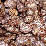 Supari / POOJA Nuts সুপারি / सुपारी / पूजआ नट