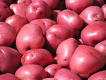 Desi Potato
