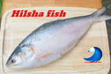 Desi Hilsha fish & Vegetables / দেশি ইলিশ মাছ ও শাকসবজি