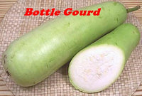 Bottle Gourd / লাউ