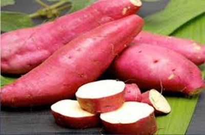 Sweet Potato