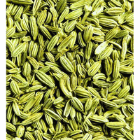 Fennel Seeds/ মিষ্টি পান মশলা